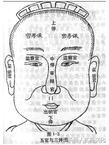 福鼻面相 英文名五行